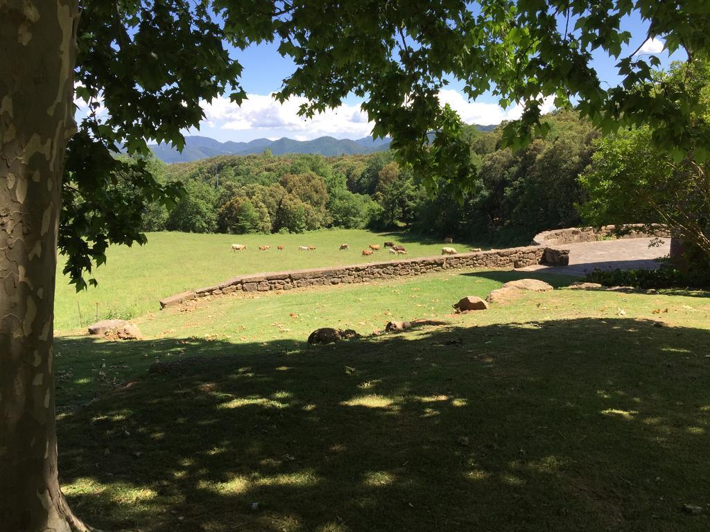Casa Rural El Callis La Vall de Bianya Kültér fotó